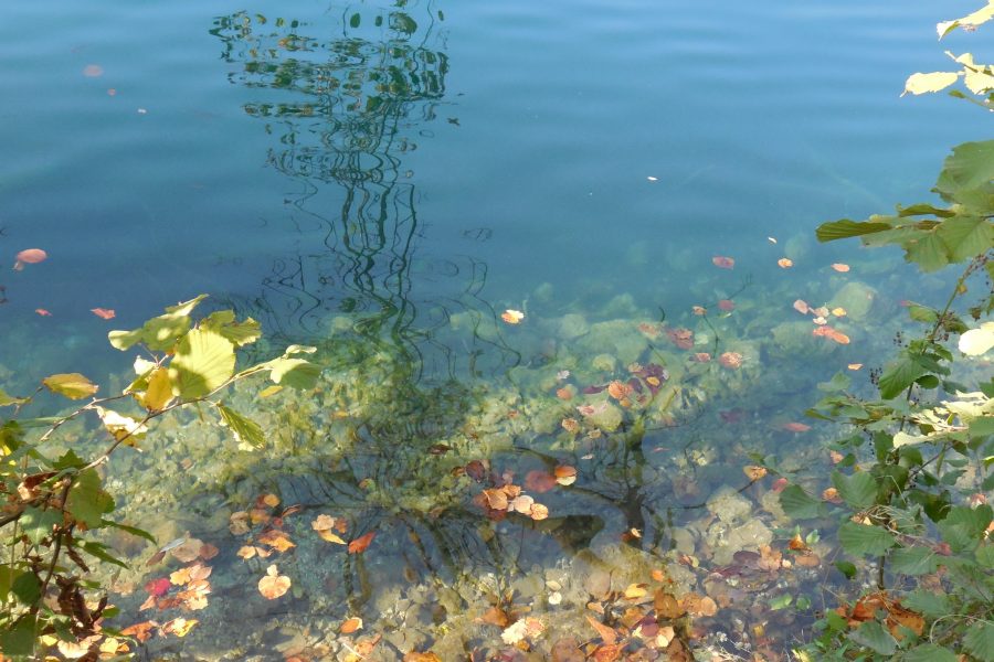 Darrieumerlou Josiane/ A TRAVERS/ 1